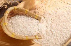 物料顏色進行自動分選的機器 色選機